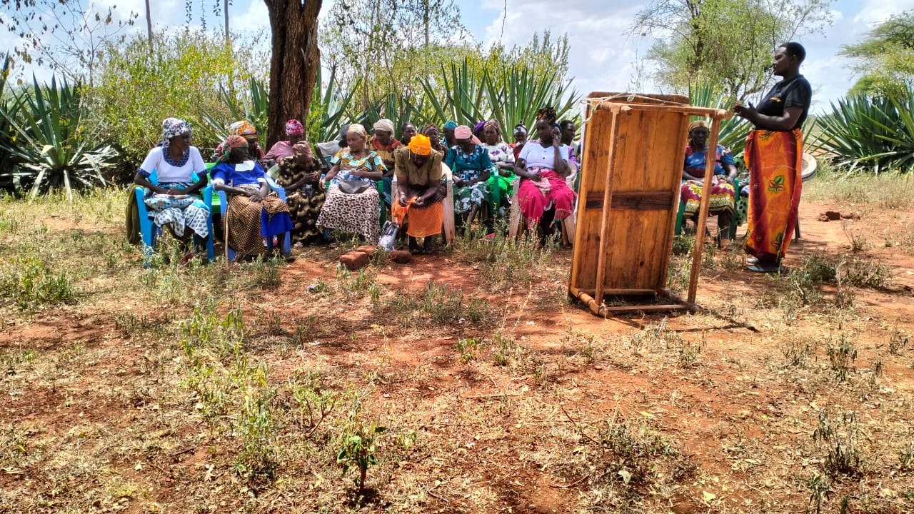 WhatsApp Image 2025-03-21 at 12.34.19 PM